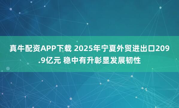 真牛配资APP下载 2025年宁夏外贸进出口209.9亿元 稳中有升彰显发展韧性